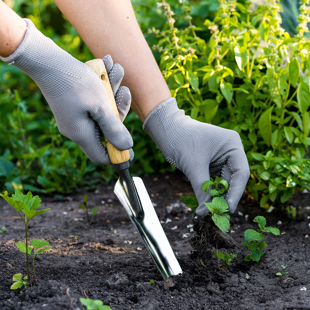 How to Make Homemade Weed Killer with Natural Dish Soap L'AVANT Collective