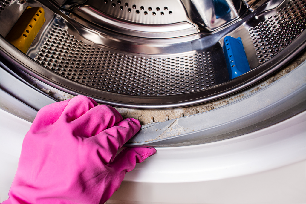 Keeping Washing Machine Clean How to Clean a Washing Machine – L'AVANT Collective