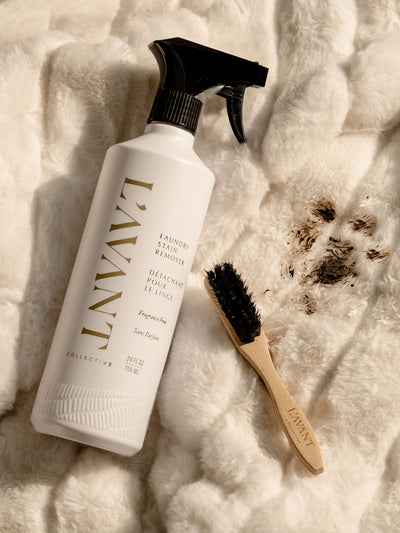 Laundry Stain Brush
