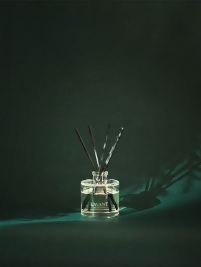 Limited Edition Winter Fir Reed Diffuser